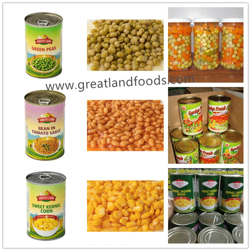 Canned Bean Sprout Tinned Vegetables with OEM Service