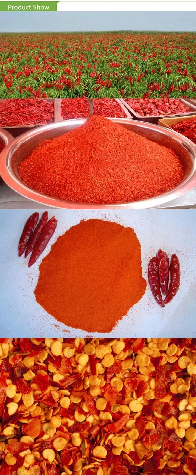 Top Quality Paprika with Good Quality