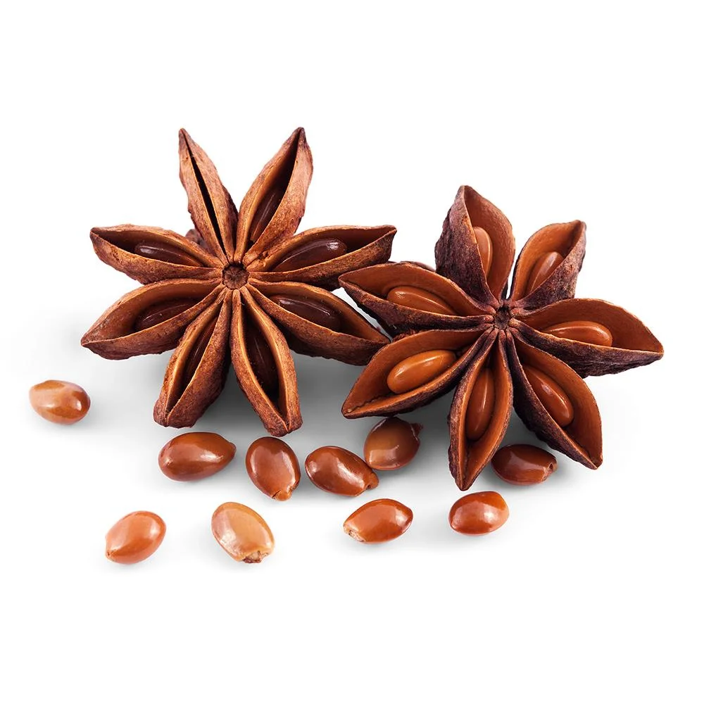 Chinese Star Anise Sulfur Free Dried Ba Jiao Illicium Verum for Spices