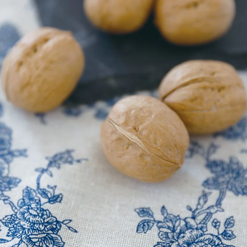 2022 Crop Wholesale Bulk China High Quality 185 Unwashed Thin-Skinned Walnut