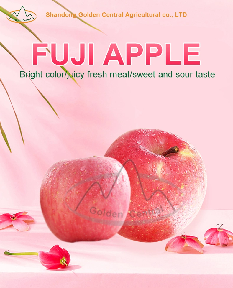 China Fresh Apple Fruit for Sale, Wholesale Fruit and Vegetable Prices