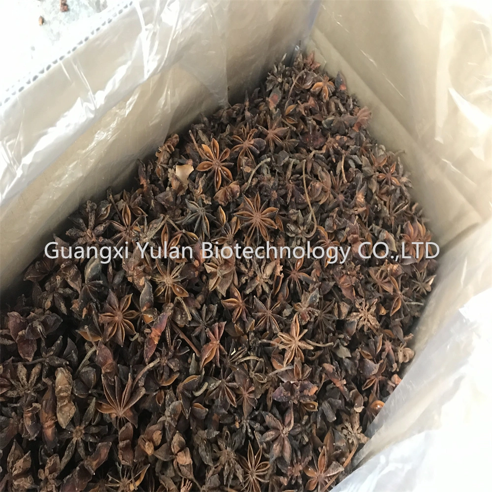 Manufacturer Bulk Seasoning Winter Crop Star Anise Chinese Spices Dry Star Aniseed