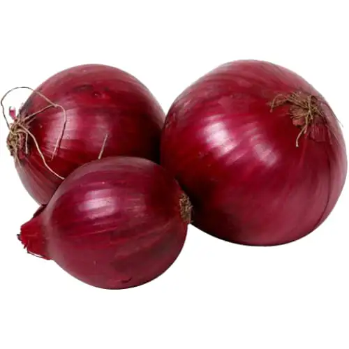 Fresh Onion for Sale Cheap Price Chinese Fresh Vegetable Onion High Quality Fresh Yellow Onion