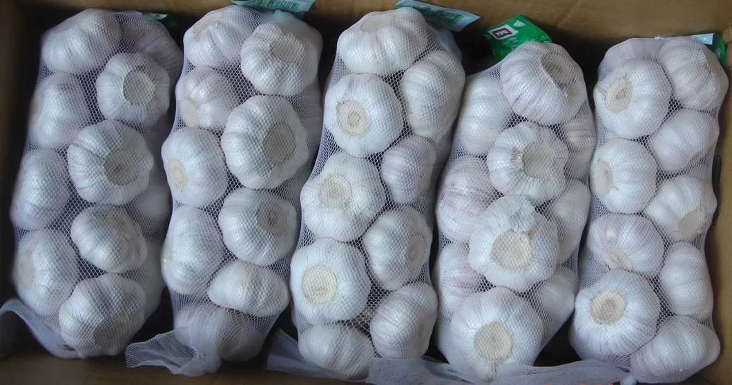 Top Quality New Crop China Fresh White Garlic, Normal White Garlic, Snow White Garlic, Pure White Garlic, Health Product, Nature Farm Product, Good Tastes,Spice