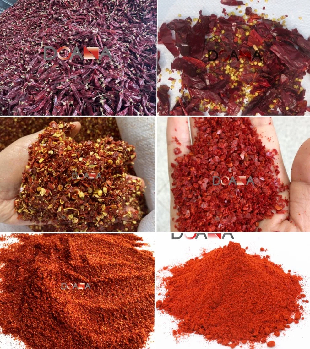Hot Red Chilli Powder Dried Red Chili Pepper Powder