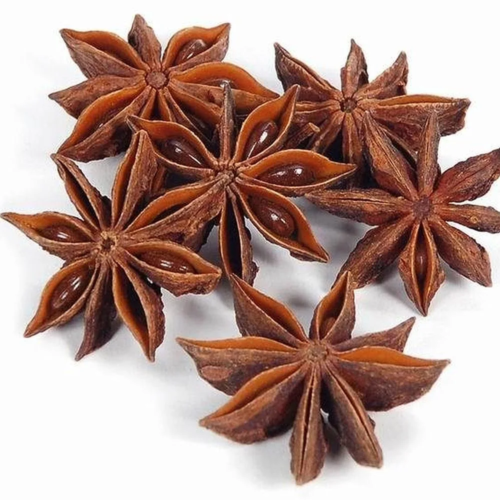 High Quality Natural Chinese Herbs Star Anise Illicium Verum Hook. F. for Spice