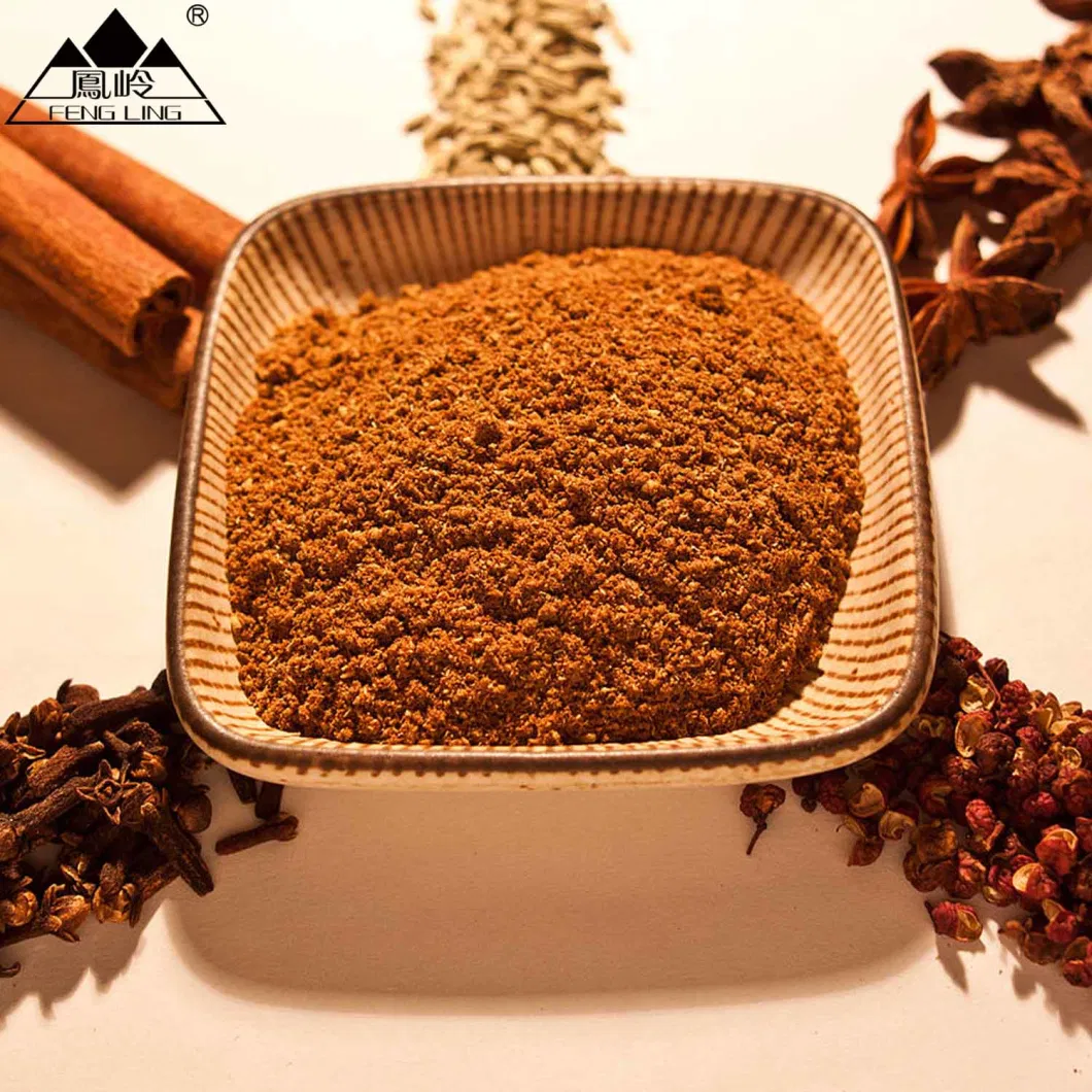 Spice Powder Seasonings/Five Spices Powder Supplier/Wholesale Five Spice Powder