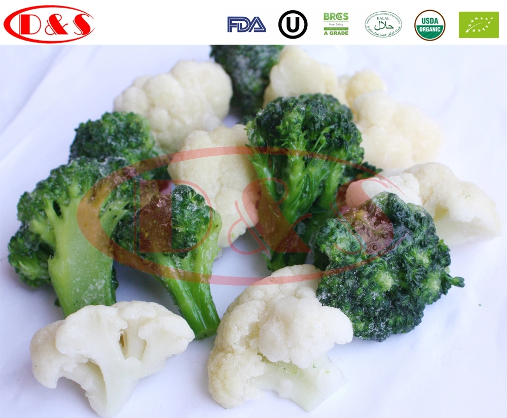 New Crop Fresh Frozen Vegetables Frozen Broccoli