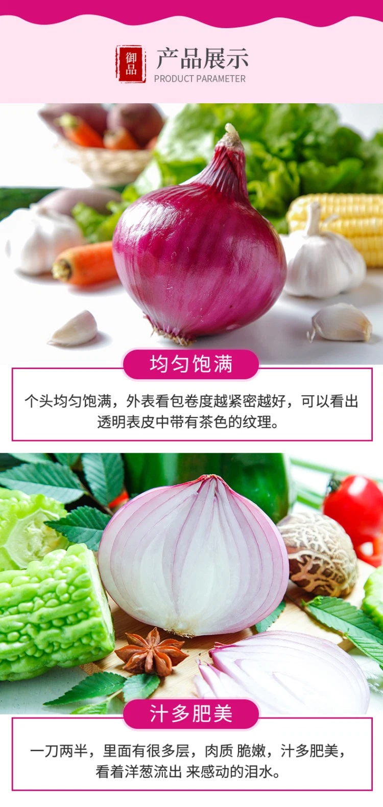 Fresh Red Onion From China Supplier