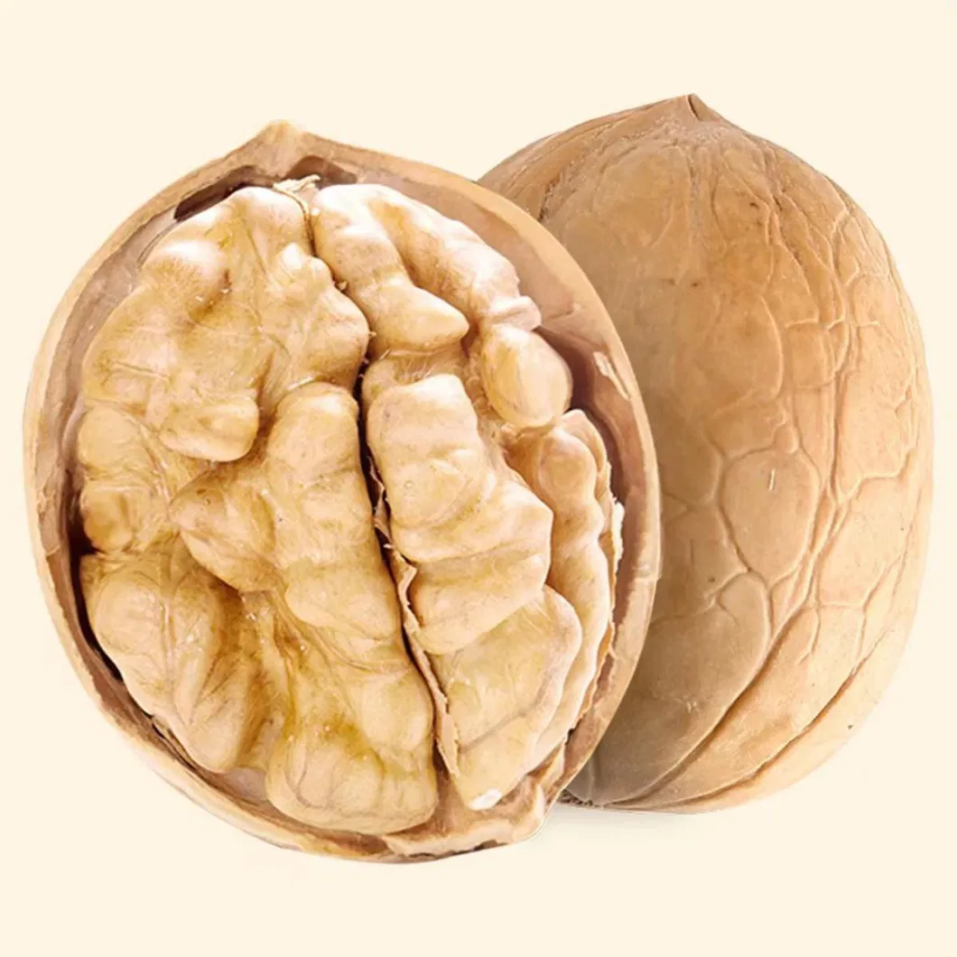 Chinese High Quality Nutritious Whole Walnuts in Paper Shell