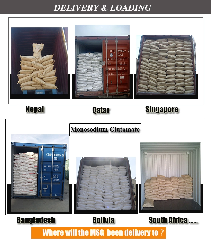Wholesale Price China Salt White Crystals Seasoning 99% 30/60/80/100 Mesh Monosodium Glutamate Msg