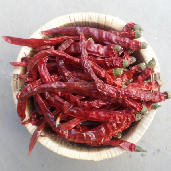 Spicy Condiment Whole Fresh Pick Dried Red Round Red Chilli Red Pepper Low Price