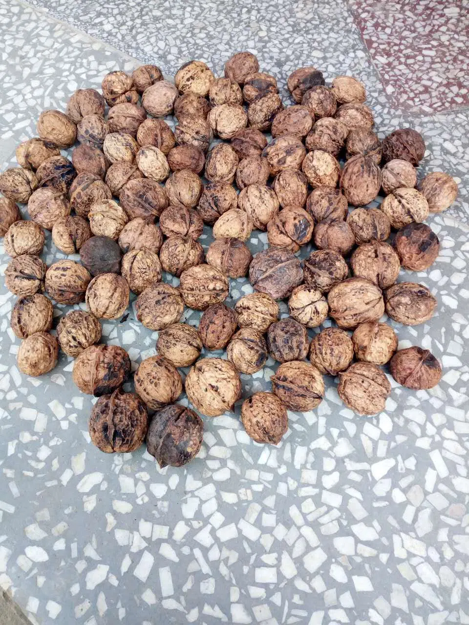 Dried Fruit Nuts Walnuts Meat Great Top Quality Chinese Exporter Shelled Walnut Factory Price