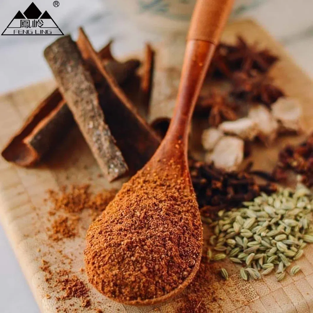 China Manufacturer Five Spice Powder Vs Mixed Spice
