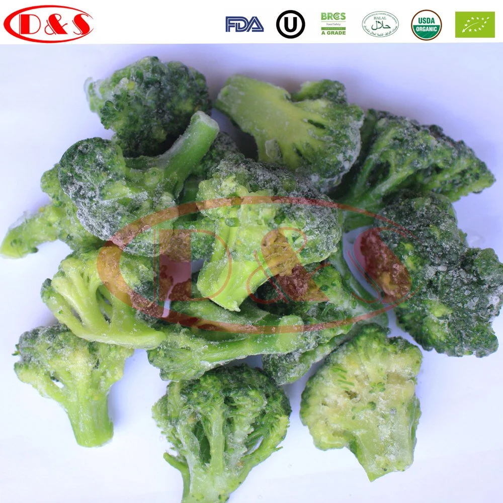 New Crop Fresh Frozen Vegetables Frozen Broccoli