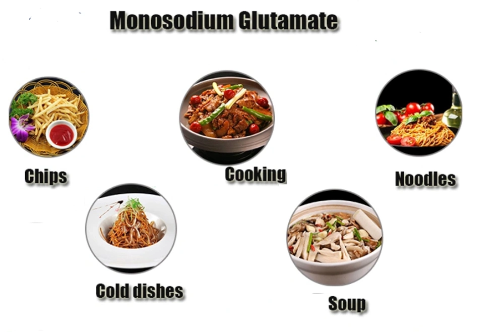 Bulk Quantity Prompt Shipment Natural Sourced Food Additives Monosodium Glutamate Msg at Low Price