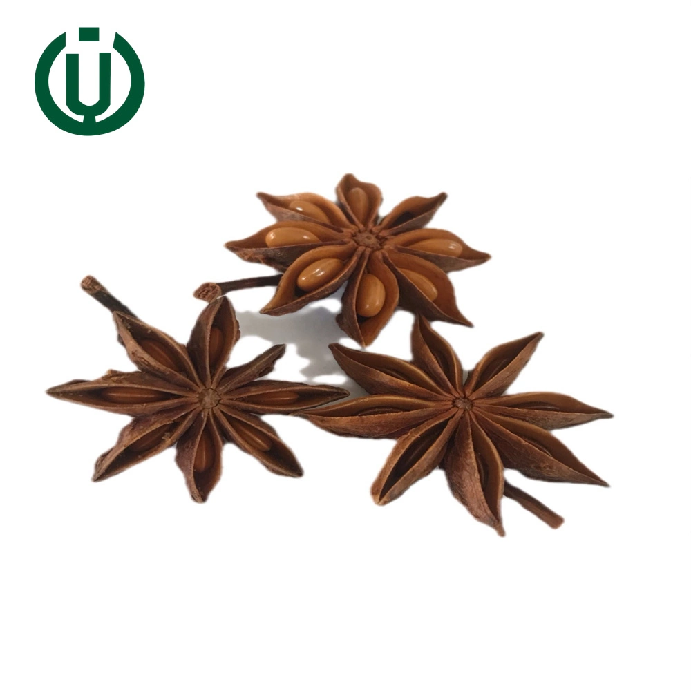 Manufacturer Bulk Seasoning Winter Crop Star Anise Chinese Spices Dry Star Aniseed