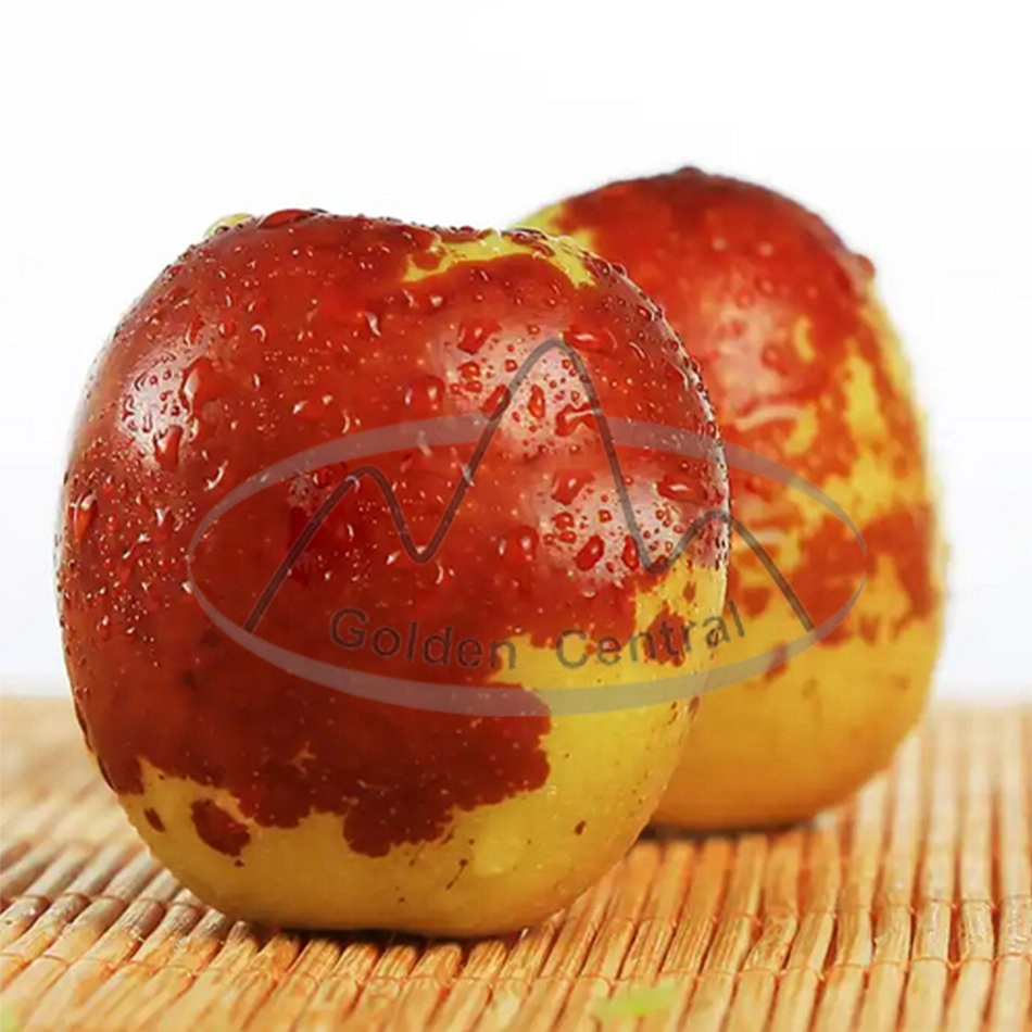 A Grade Crispy High Quality Fresh Fruit Winter Jujube From China