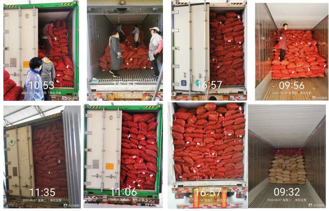 Hot Sale in Origin, Price Negotiable, Red Chilli, Dried Chilli, Welcome to Purchase