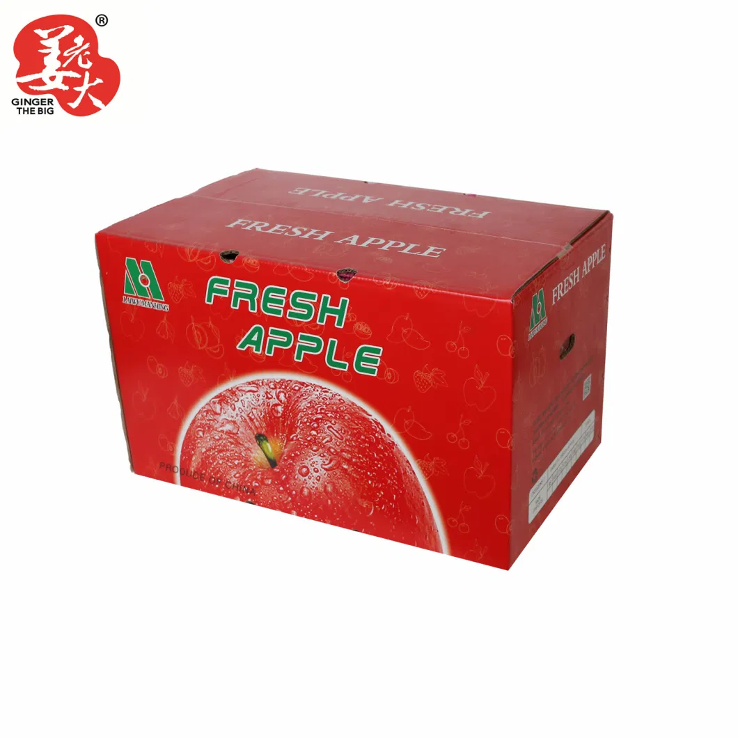 Fresh Vegetables of China Huaniu Apples