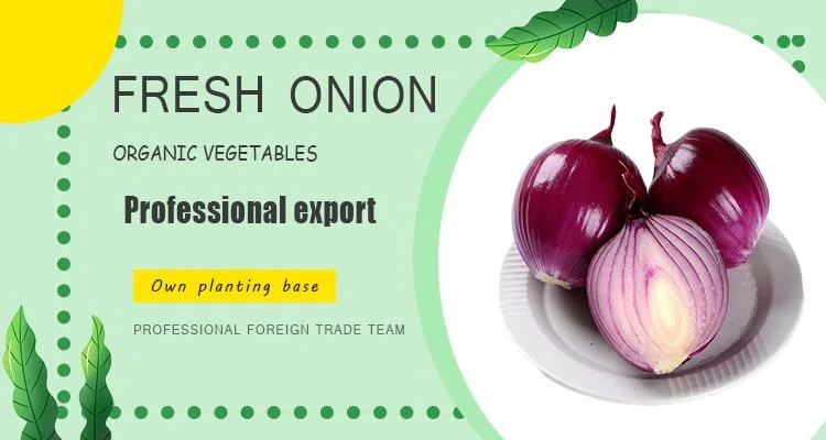 Fresh Red Onion From China Supplier