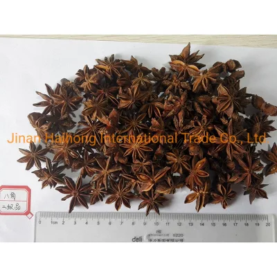 Fresh New Crop Star Anise Large Supplier