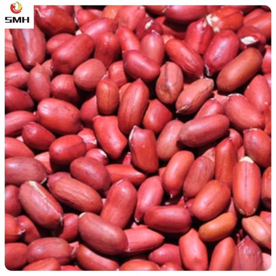High Quality Bulk Raw Organic Red Skin Kernel Peanut