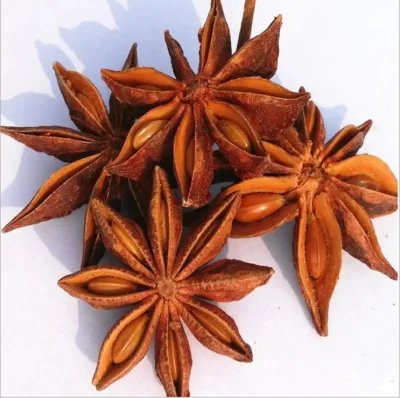 Chinese Star Anise Sulfur Free Dried Ba Jiao Illicium Verum for Spices