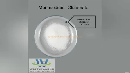 Food Grade Msg 99% (Monosodium Glutamate) Salted Msg Spice
