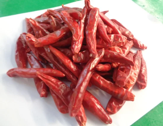Spicy Condiment Whole Fresh Pick Dried Red Round Red Chilli Red Pepper Low Price