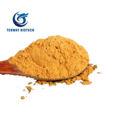 Fresh Stock Free Sample Natural Vegetable Powder Tomato Fruit Extract with Factory Supply