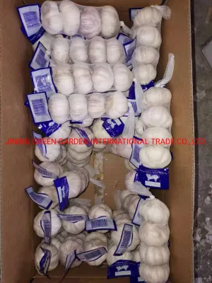 Top Quality China Fresh Garlic, Snow White Garlic, Pure White Garlic, Normal White Garlic, Vary Size, Vary Packing, Good Spice, Good Tastes, Stronger Pungent