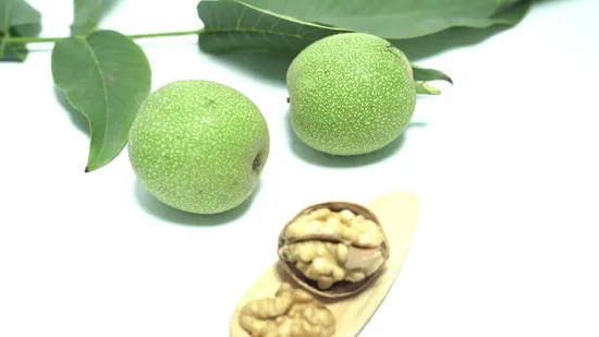 Chinese Xinjiang Paper Shell Raw Walnuts with Low Price