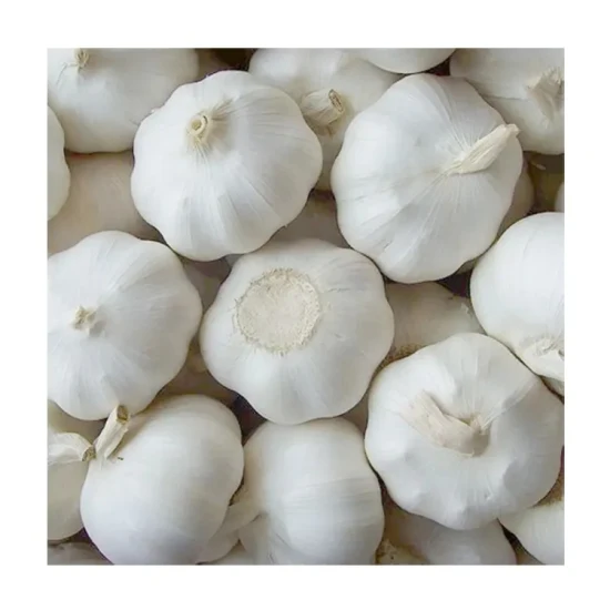 China Fresh Fruits Vegetables Supplier Wholesale Fresh Garlic Price