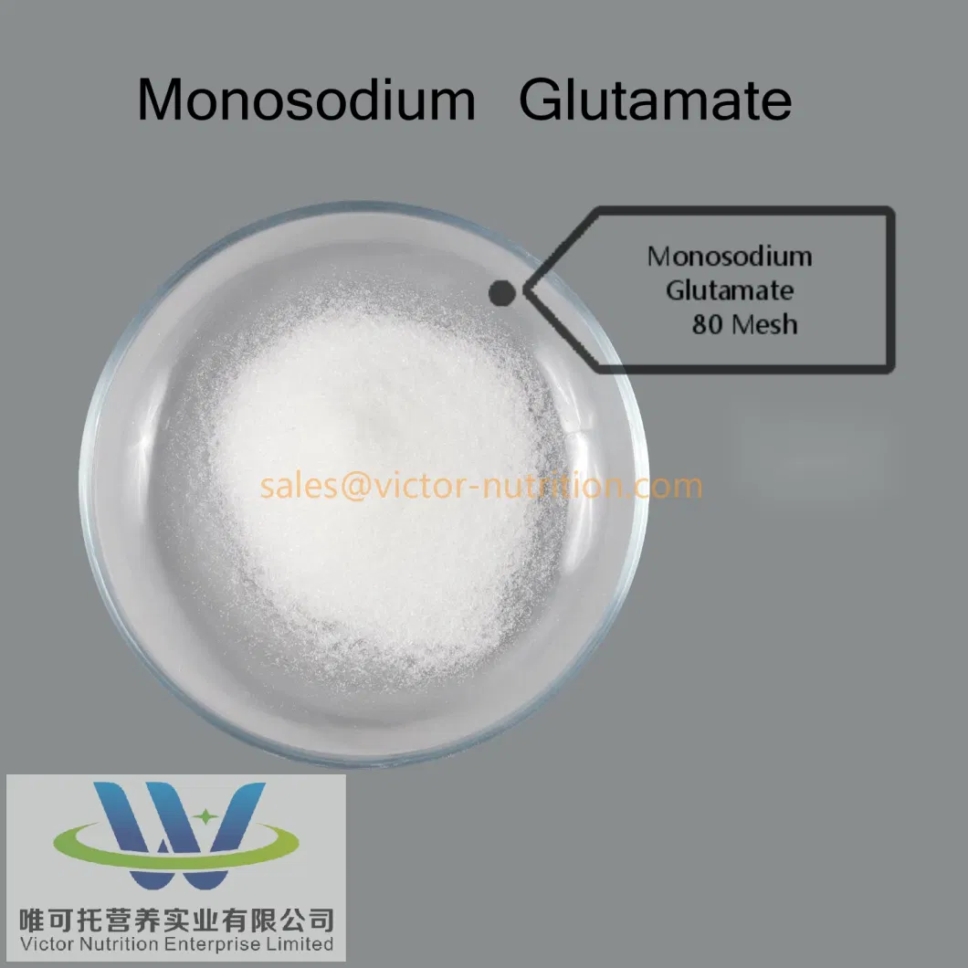 Food Grade Msg 99% (Monosodium Glutamate) Salted Msg Spice
