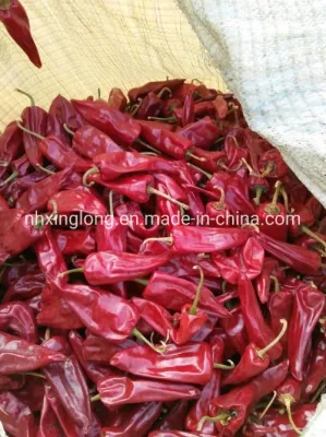 Stemless Dried Beijing Red Chilli 7