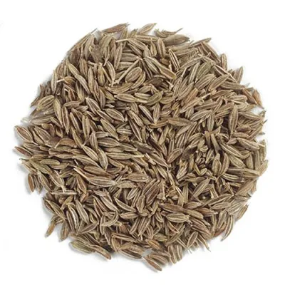 Cumin Seeds Cheap Price Supply Wholesale Seeds Spices Cumin